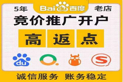 百度推广实战：案例分享与数据解读